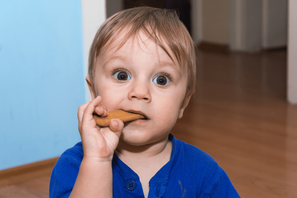 Is Your Teething Biscuit Actually Working? How to Tell - Bickiepegs Healthcare